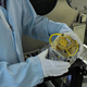 Image for article titled 10 Strange Projects In Development At NASA